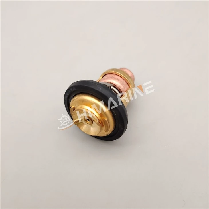 67F-12411-01 Thermostat